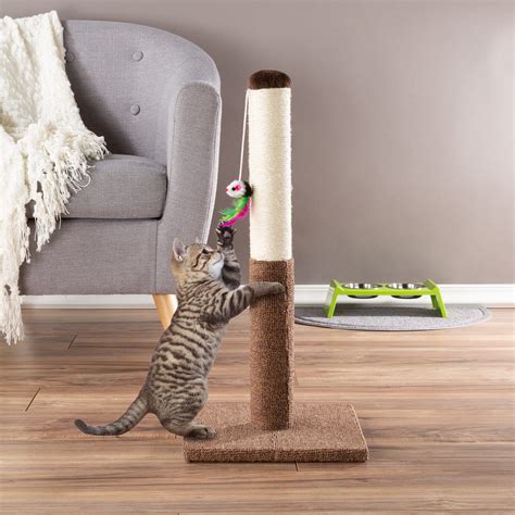Witchcraft cat scratching toy